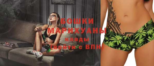 молекула духа Аркадак