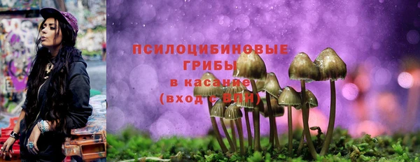 молекула духа Аркадак